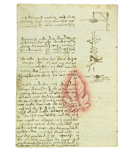 Codex on the Flight of Birds, Folio 15 Verso by Leonardo da Vinci